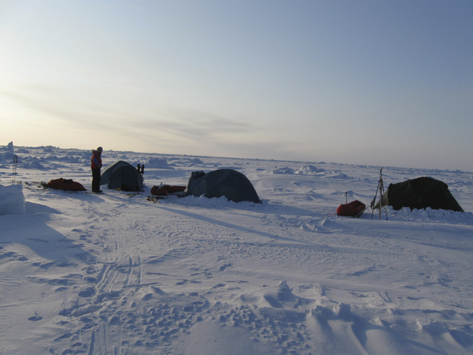 Igloo tents